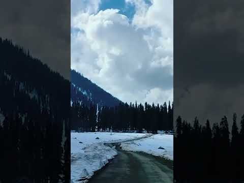 Beautiful road and snow View of Kashmir , Sonamarg #kashmir #snow #gulmargsnowfall #dallake