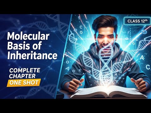 Molecular Basis Of Inheritance ONESHOT Quick Revision | Class 12 NEET Biology ONE SHOT
