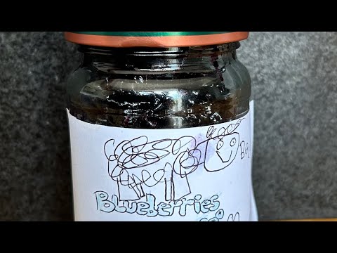 How to create vegan friendly blueberry jam  #coocking #veganfriendly #jam