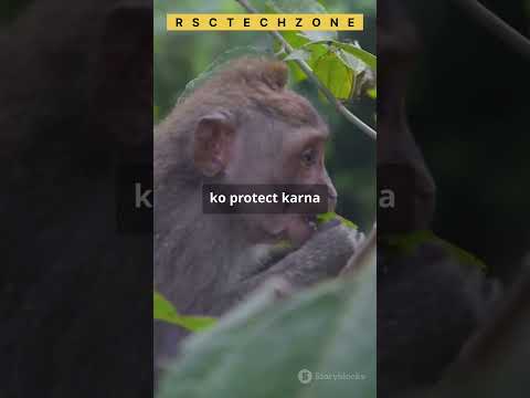 Wildlife Conservation Mein AI Ka Jadoo.