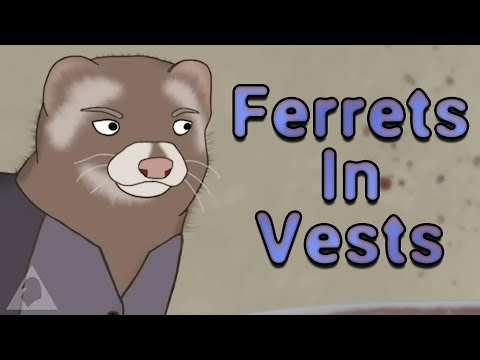 Ferrets In Vests