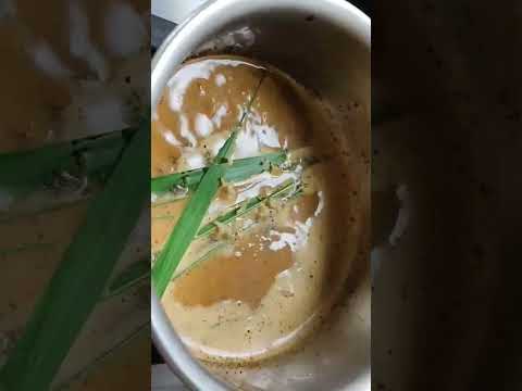 Gavati Chaha | गवती चहा | Tea Recipe | Chai recipe #tea #lemongrasstea #chai #shorts #recipe