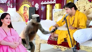 Divine Court!! Divya darbar !! 2024 bageshwar dham sarkar katha !!😍😍