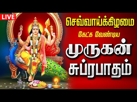 🔴LIVE SONGS | செவ்வாய்க்கிழமை அன்று சர்வ சக்திகளும் அடங்கிய முருகன் சுப்ரபாதம் - தமிழில் | Murugan