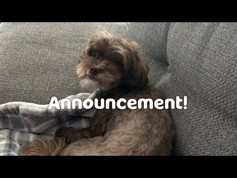 Announcement! (PLEASE MAKE REQUESTS HERE)