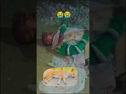 Mritu atiya hahoj😭 #doglovers #doglover #dogshorts #dog #viraldogshorts #trendingshorts #shortsvideo