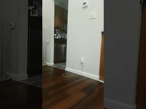 am i a good snipera