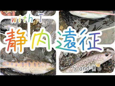 静内遠征！初入渓シュンベツ川でどんな魚が釣れるのか。ちびっ子ゲストは釣ってくれるかな〜