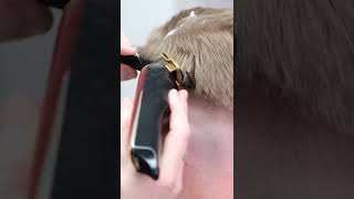 ✂️ This HAIR HACK | Will Change How You Cut | Barber Tutorial