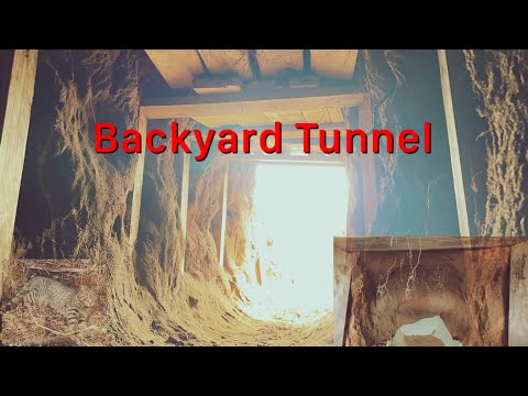 Digging A Tunnel in My Backyard ￼