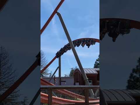 ASMR My Favorite Coaster at California's Great America ✨ Amusement #ASMR #Shorts