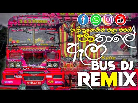 PATHALE ALA|PATHALE ALA BUS DJ|සුපරි පාතාලේ ඇලා බස් DJ එකක්|NEW PATRY BUS|@WELLASSACREATIONS #love