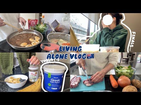 vlog | 23歳院生の一人暮らし🛋️| grad school diaries