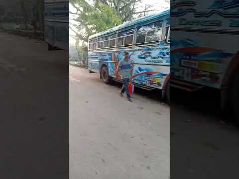 bus dj