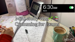 High school study vlog 📚🌱 #study #studymotivation 