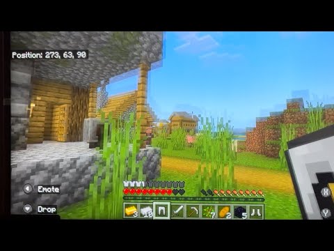Found a village really quickly and seeing what to do