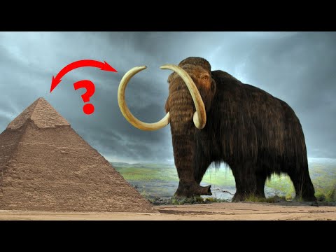 21 Weird History Facts in 3 Minutes!