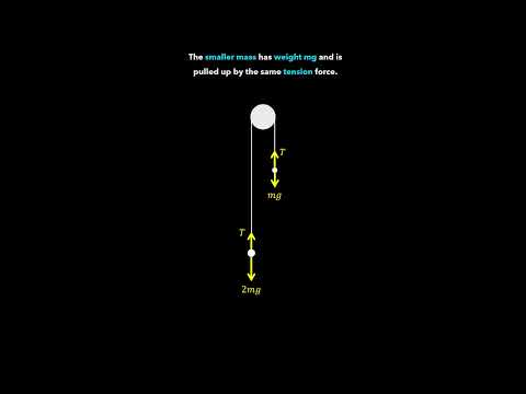 A-Level Mechanics: Pegs and Pulley Systems 🎓 #maths #mechanics #engineering #physics #mathanimation