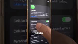 how to turn on international roaming on iphone while traveling. #apple #iphone #travel