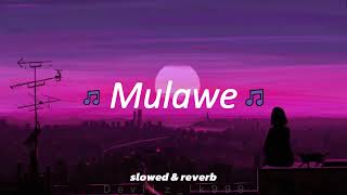 Mulawe | මුලාවෙ | reverb | slowe | #vibes #reverb #fyv #sinhalasong #sinhalavibes