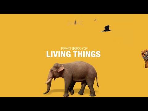 FEATURES OF LIVING THINGS