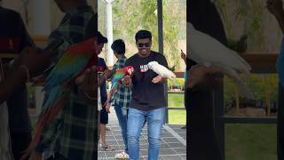 🤯Trichy birds Park💥 #trichy #park #birds #shorts #youtubeshorts #youtube #ytshorts #yt