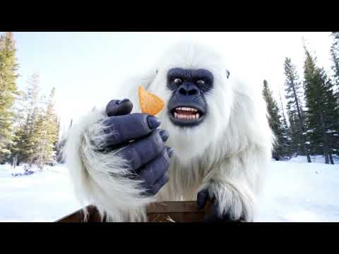 YETI Finds One Chip