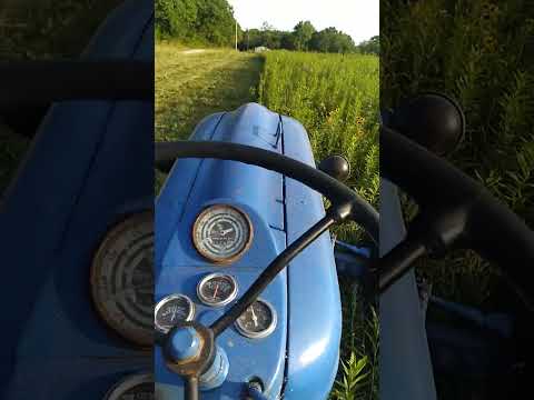 mowing CRP central Illinois August 1st 2023