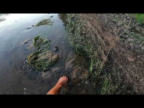 Ancient artifact hunting the susquehanna river