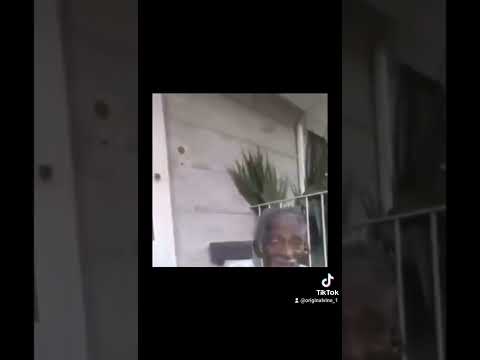 TikTok Mr. Postman