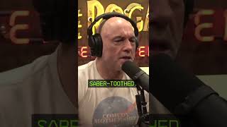 Joe Rogan Asks Colossal CEO Ben Lamm If We're Bringing Back The Saber Toothed Tiger