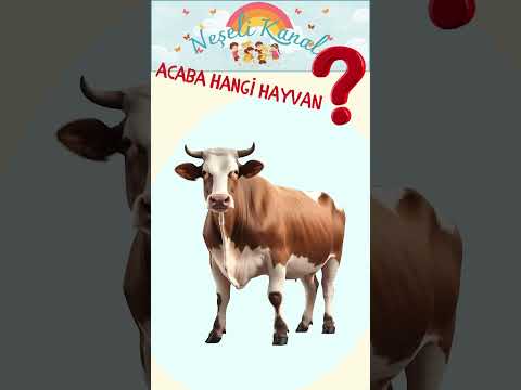 Hangi Hayvan Tahmin Et! #çocuk #kids #5yaş #6yaş #hayvanlar #anaokulu #eğiticiçocuk #dikkatgelişi