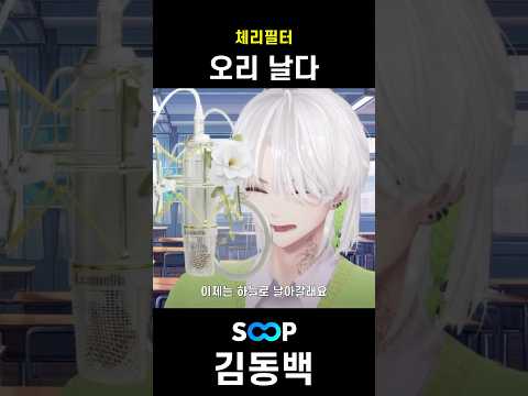 체리필터 - 오리 날다 Live