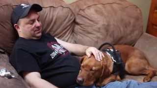 HABRI Central Case Studies: Battle Buddies: Providing Emotional Support to Overcome PTSD