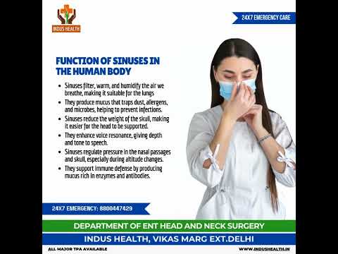 Functions of Sinuses in the Human Body