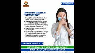 Functions of Sinuses in the Human Body