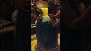 #devotational #shiva #shiv #rishikesh