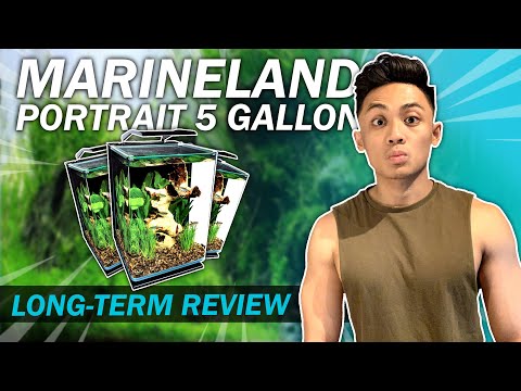 ULTIMATE Marineland 5 Gallon Portrait Review | Best Budget Nano LED Aquarium Kit for Betta Fish?