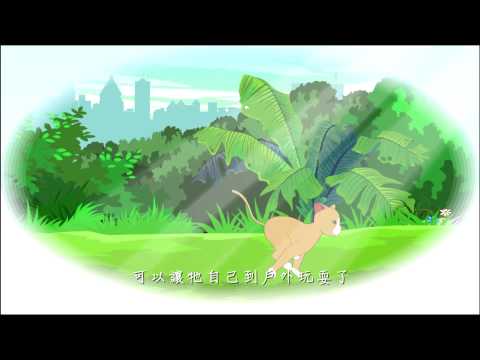 《爱护生命的故事》小乖的小猫咪 (高清版)