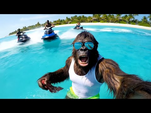 Bigfoot Vlogs - I Went On Holiday