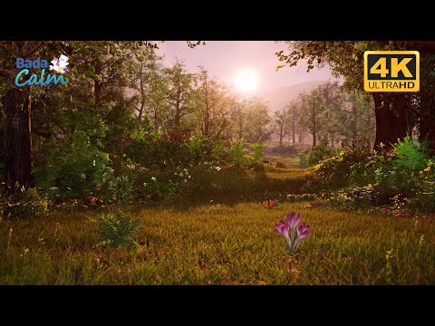 [4K] Sleep Meditation for Kids | Sleep Meditation | Badanamu Calm