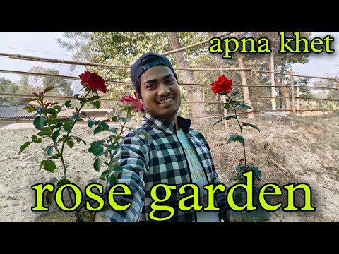 APNA KHET 🌱 JAIVIK KHETI KA BANDAR || 🫐
