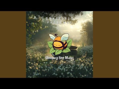 Quiet Time Baby Sleep Music