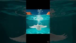 Under Water #animatedstory #funforkids #kids #scienceforkids #techlearning #cartoonforkids