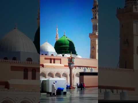 Jashn e Amad e Rasool - Farhan Ali Qadri #islam #freepalestine #shorts #youtubeshorts #shortvideo