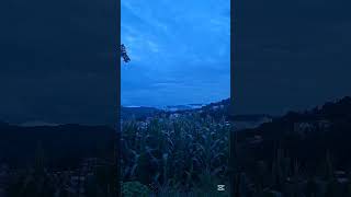 Nature view of my home😊 #nature#beauty#naturebeauty #suzume#Edit