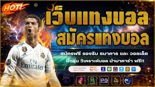 เว็บแทงบอลที่ดีที่สุด สมัครแทงบอล ไม่มีขั้นต่ำ!