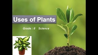 Uses of Plants | Class - 2 EVS | Science for kids | CBSE syllabus