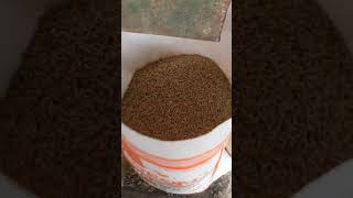 Pig grower feed formula 2022 pig feed making machine