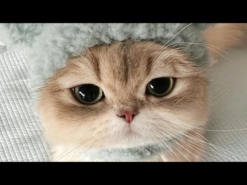 KID'S POEM | RHYMES